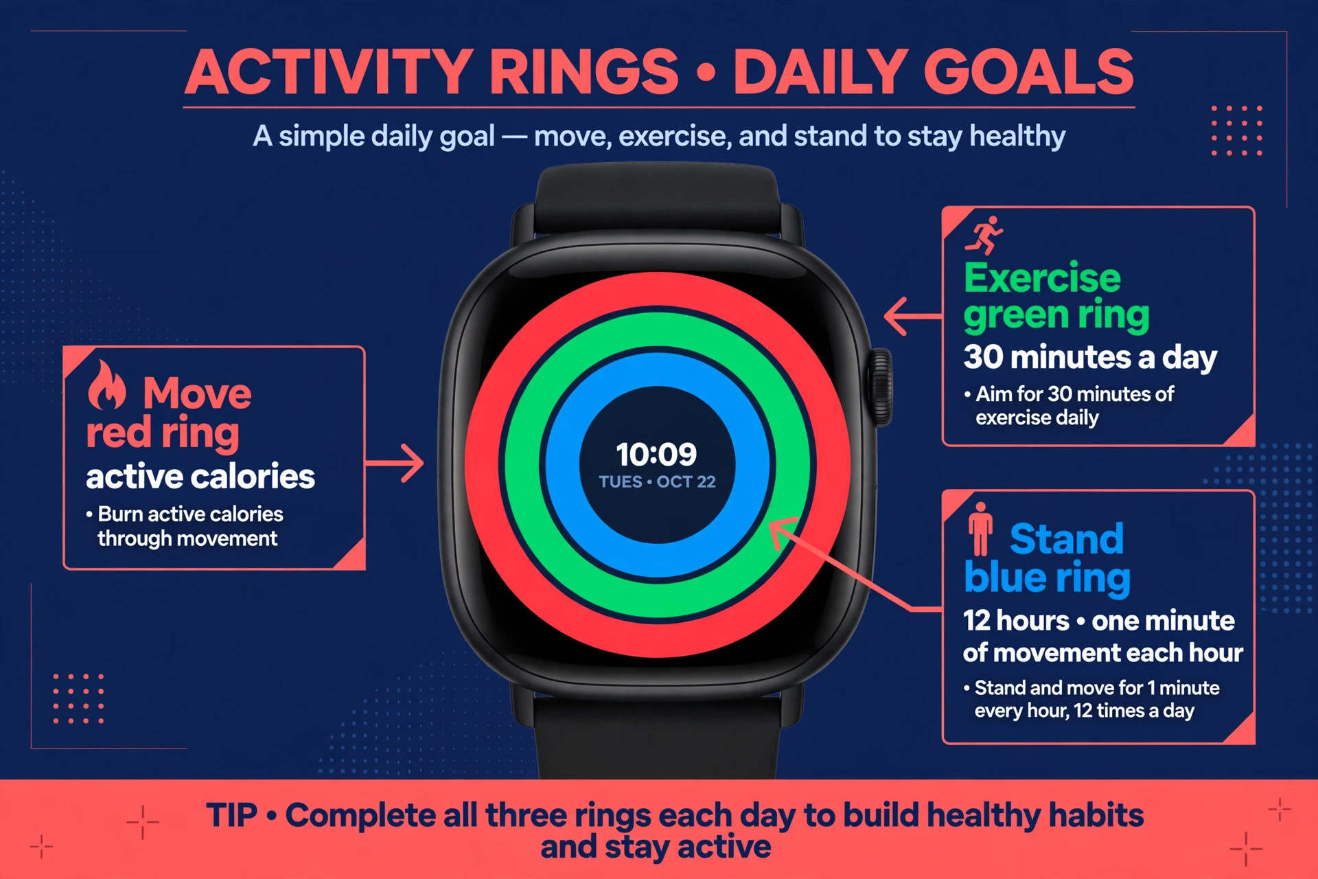 Annotated Apple Watch Activity rings visual