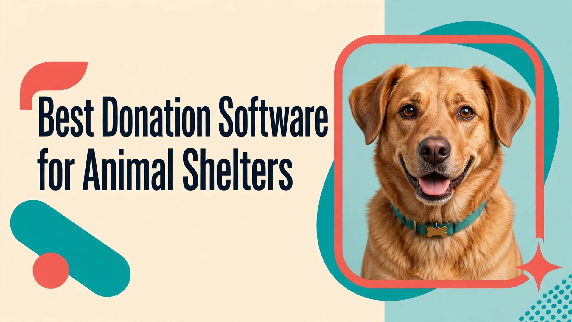 Best donation software for animal shelters thumbnail