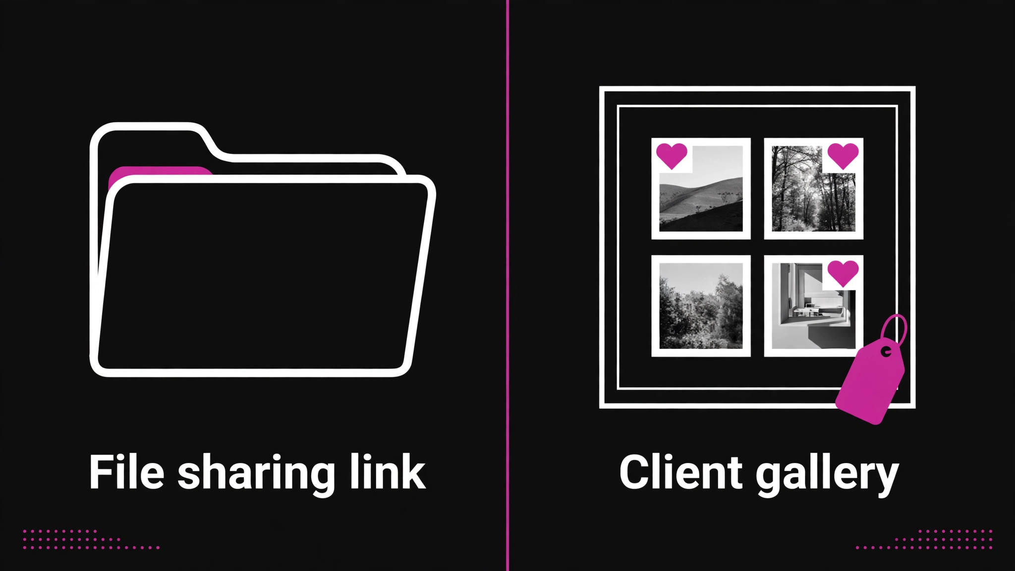 comparison for the Best Client Gallery Software for Photography Studios guide