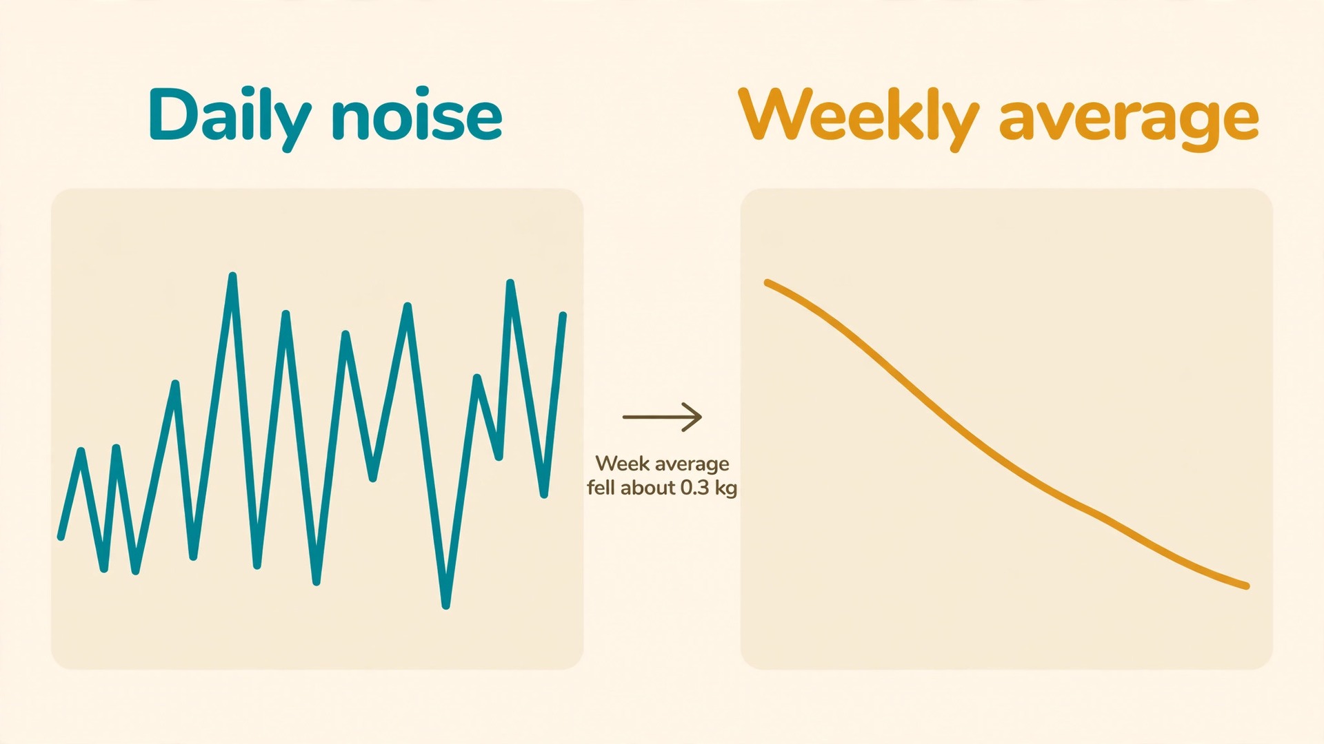 Before and after weight trend chart showing daily noise versus weekly average