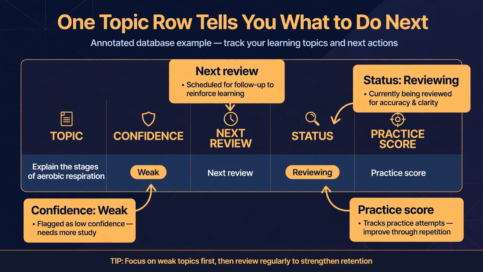 Annotated Notion topics database row for revision planning