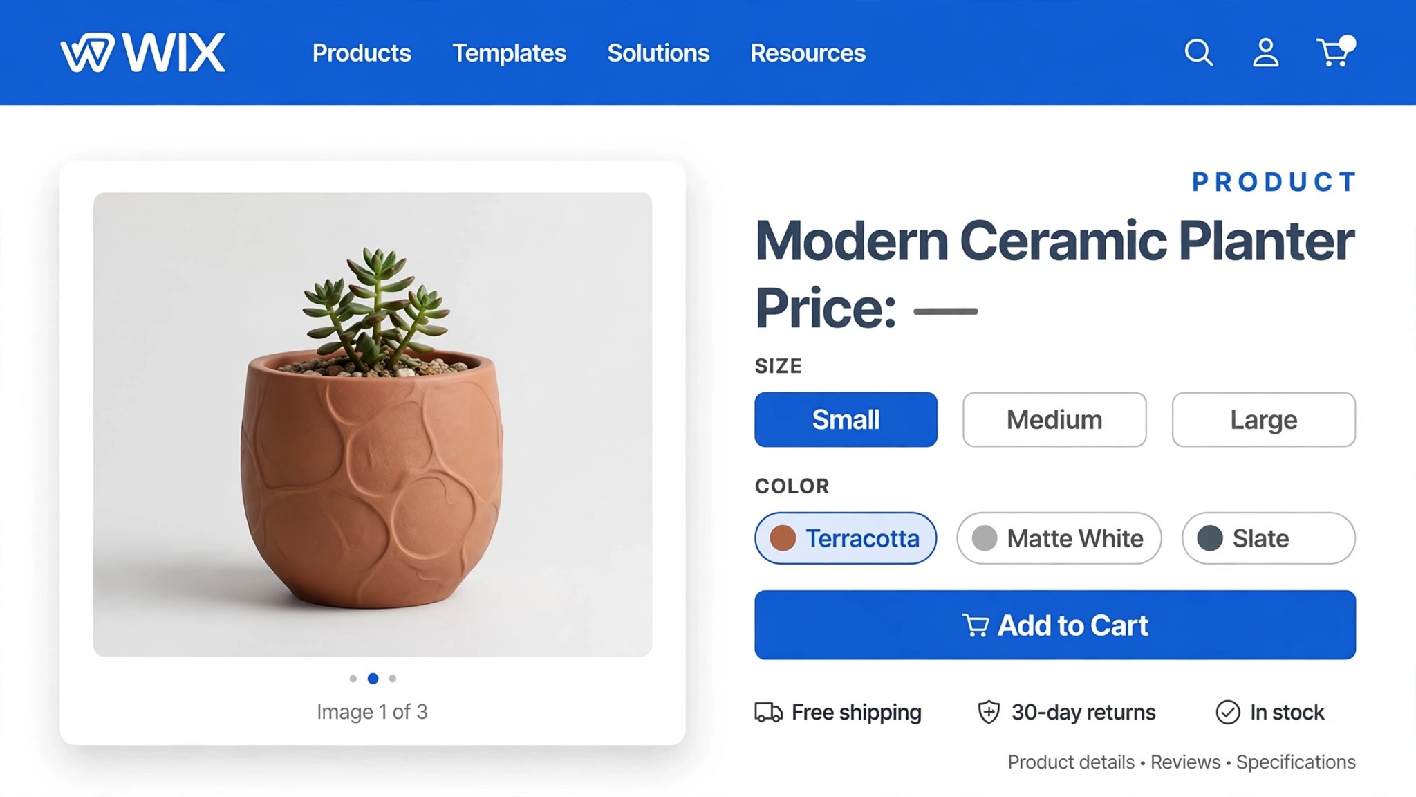 Wix product page mockup with images price and variant options
