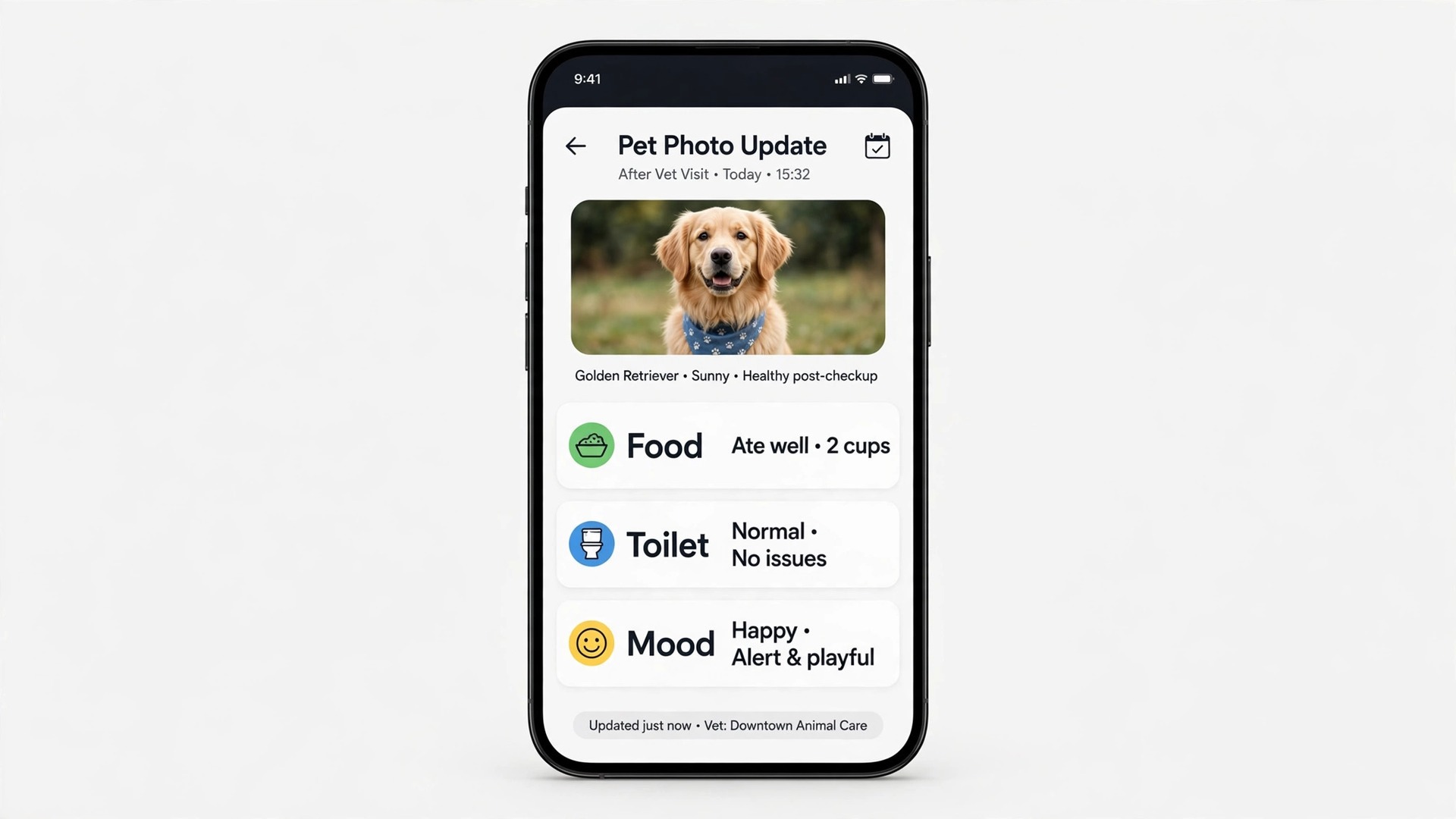 Mockup concept. A phone mockup showing a photo update with food, toilet, and mood lines after a visit