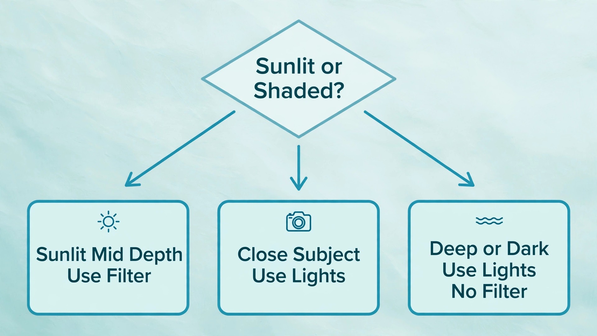 Flowchart for choosing filter natural light or video lights underwater