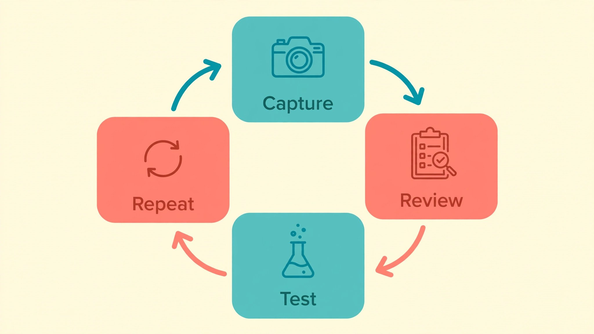 Study cycle from capturing notes to reviewing, testing and repeating