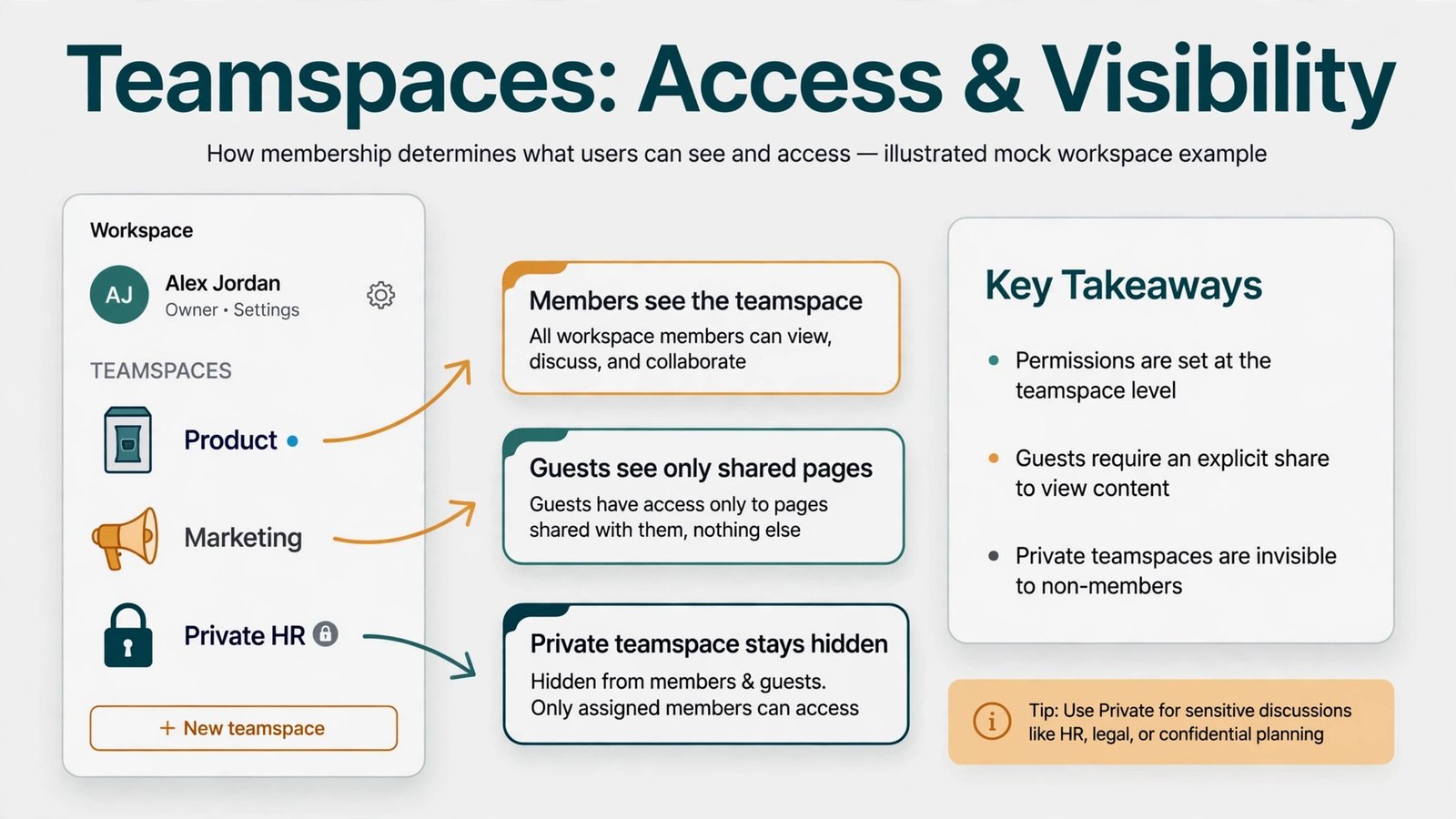 Annotated Notion teamspace and guest permission example